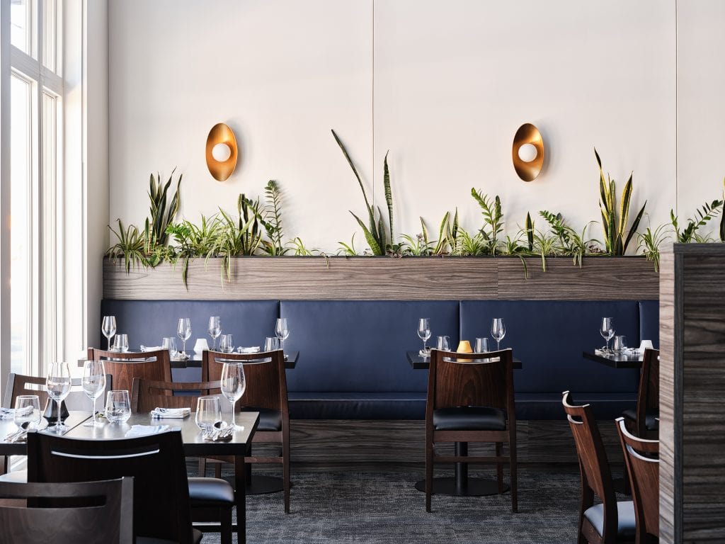 Dining room lighting at Coconut Lagoon, Ottawa