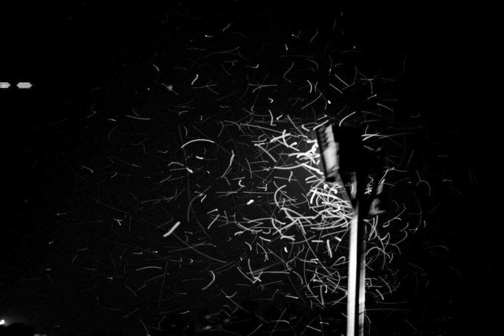 Motion-blurred trails of insects swarming around a streetlight against a black night sky.